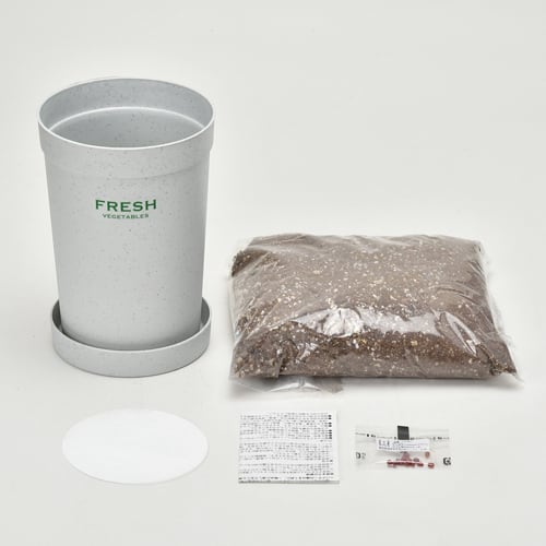 カラフルミニ大根 京紫 萌緑 紅丸 桃丸 GD-994【栽培セット 食べられる サラダ カラフル プレゼント ギフト 育てる 植物】