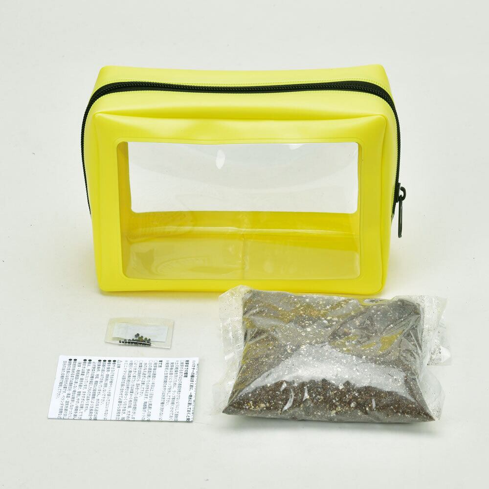 GREEN POUCH グリーンポーチ ワイルドストロベリー GD-1004【栽培セット ハウス栽培 温室栽培 初心者 プレゼント ギフト 育てる 植物】