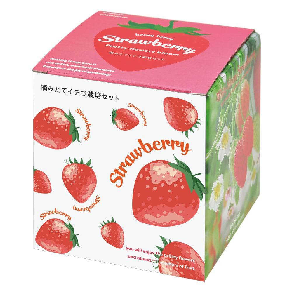 摘みたてイチゴ栽培セット GD-1000 【栽培セット いちご 食べられる かわいい おしゃれ プレゼント ギフト 緑 植物 育てやすい お家で育てる】