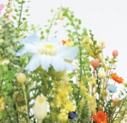 コルクガラスドーム 小花アレンジ M【プリザーブドフラワー ドライフラワー 結婚祝い プレゼント 長持ち 母の日 誕生日祝い サスティナブル リラックス】