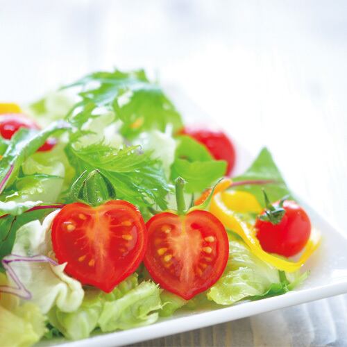 ハートマト栽培セット GD-546【栽培セット トマト プチトマト 食べられる ハート かわいい おしゃれ プレゼント ギフト 緑 植物 育てやすい お家で育てる】