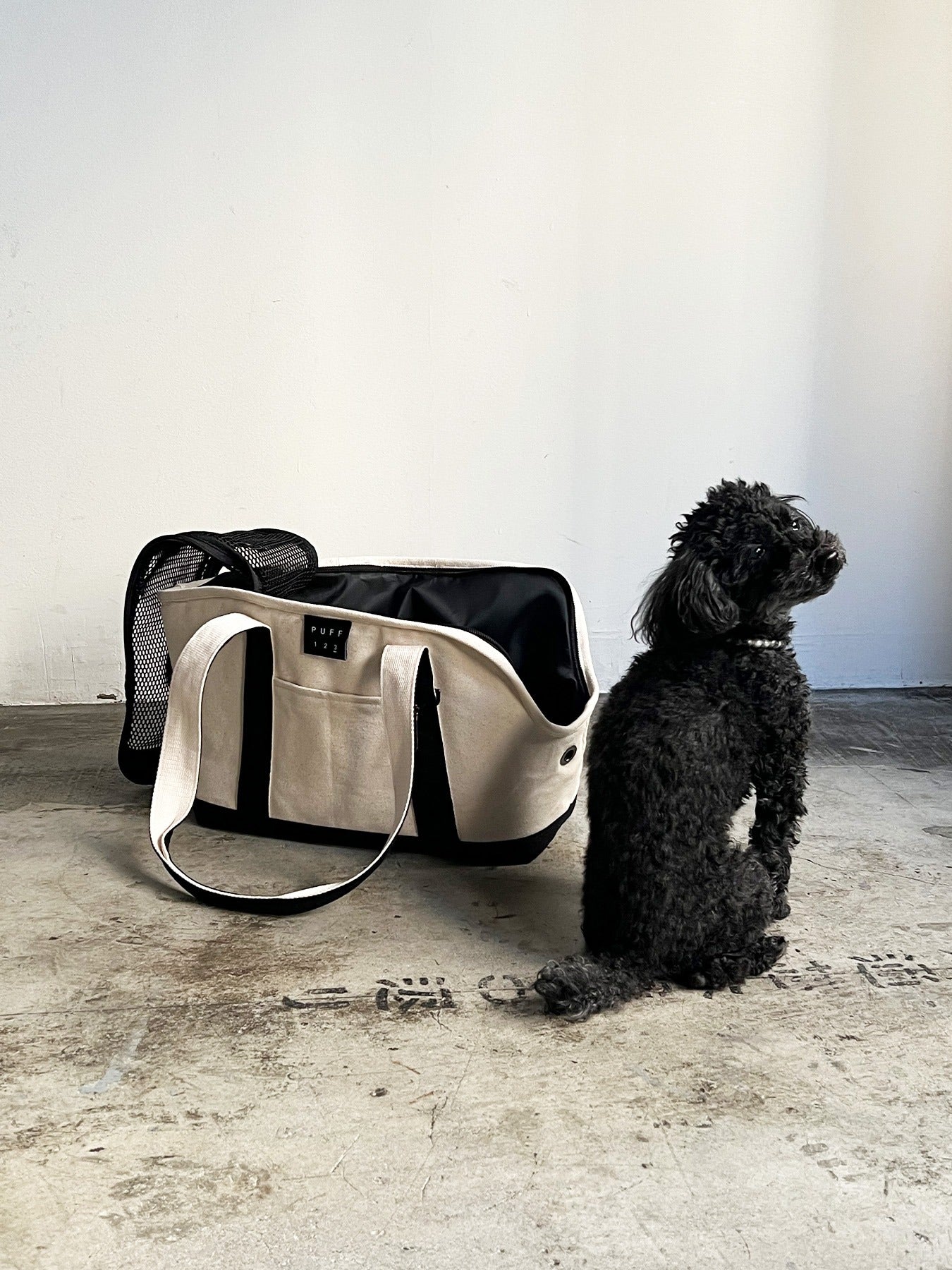 【送料無料】pet carry canvas tote L【ペット用 キャリーバッグ トートバッグ 軽量 おしゃれ 人気 多機能 キャンバス カジュアル】