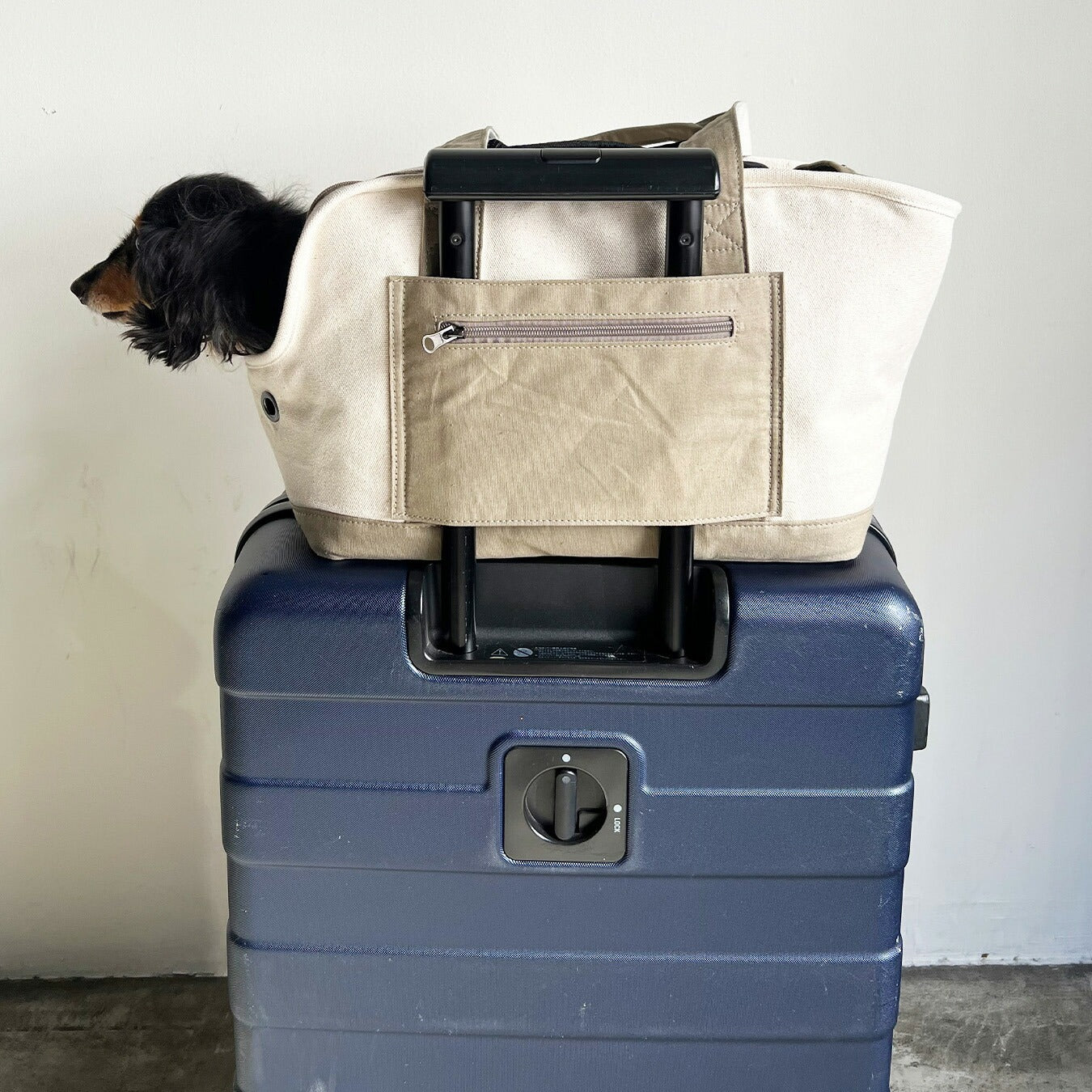 【送料無料】pet carry canvas tote L【ペット用 キャリーバッグ トートバッグ 軽量 おしゃれ 人気 多機能 キャンバス カジュアル】