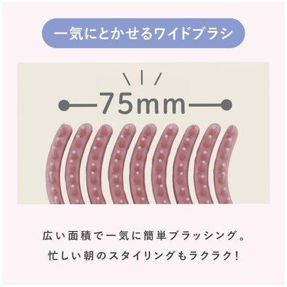 ヒビノプレミアムケアブラシ HCB-2000