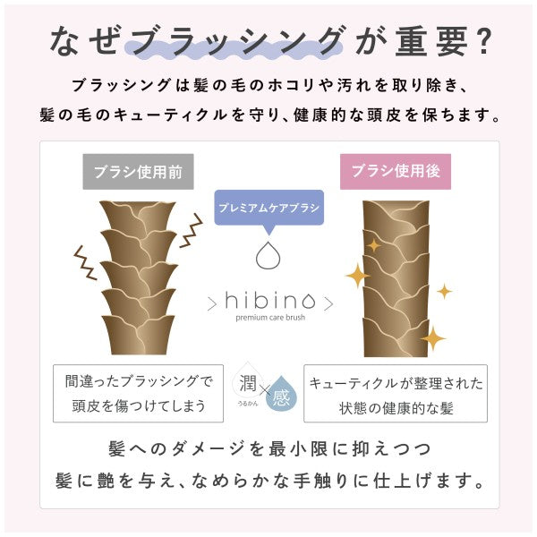 ヒビノプレミアムケアブラシ HCB-2000