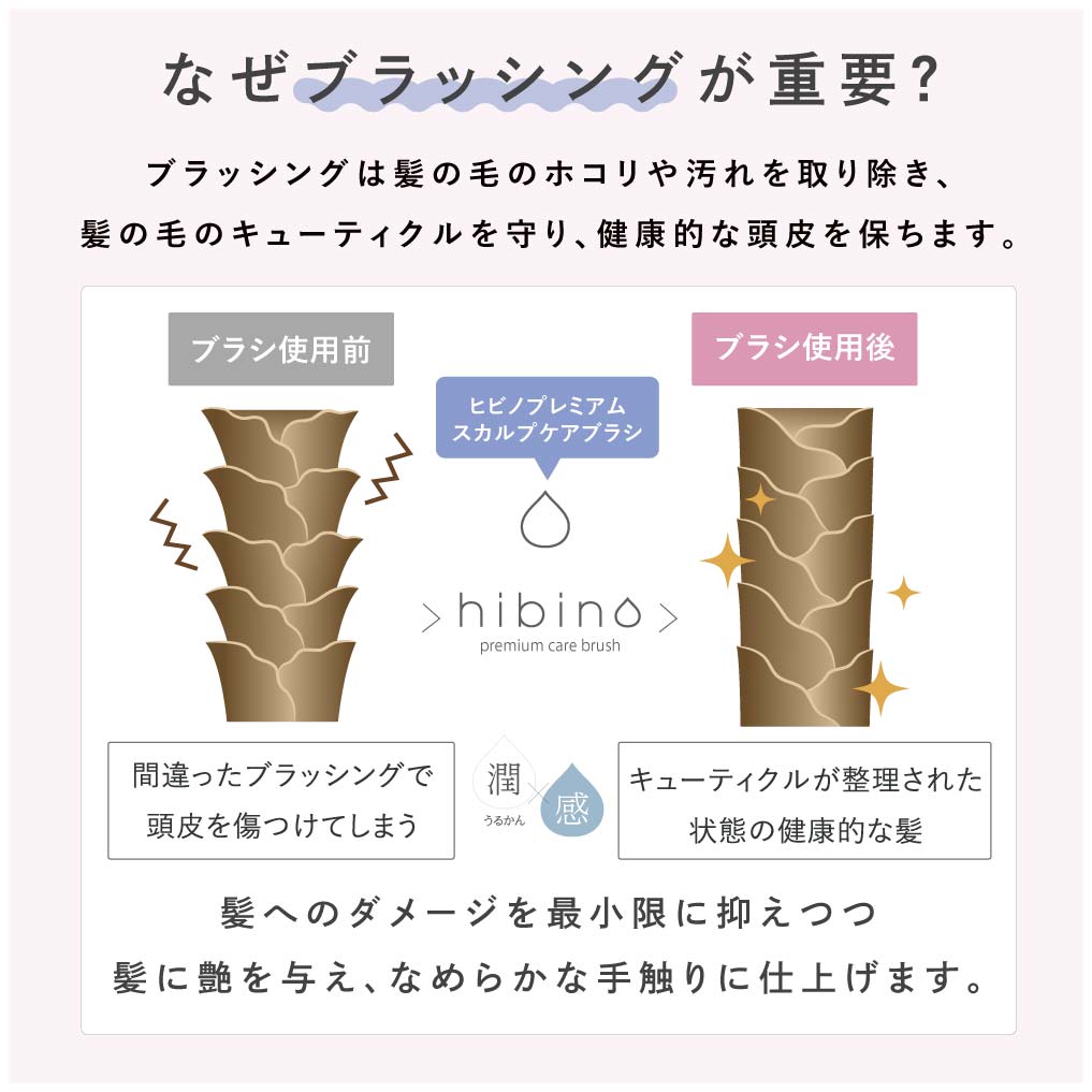 HIBINO ヒビノプレミアムスカルプケアブラシ HCB-2100