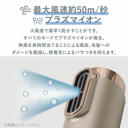 VENUSiS ヴィナシス VDS-7100W スリムフィットドライヤー ワールド [速乾 軽量 高耐久 艶髪 美髪 プラズマイオン コンパクト BLDCモーター スティックドライヤー 海外対応 ブラシ付き]