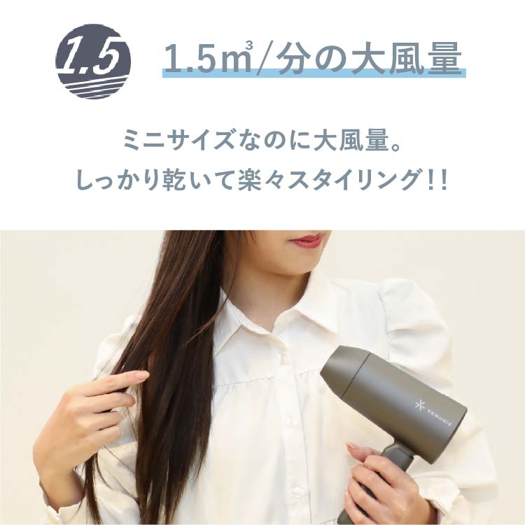 【NEW】マイナスイオンミニドライヤー　VDM-1150E4