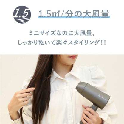 【NEW】マイナスイオンミニドライヤー　VDM-1150E4